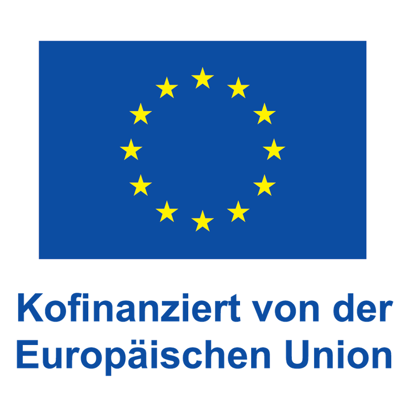 DE V Kofinanziert von der Europäischen Union_POS.png