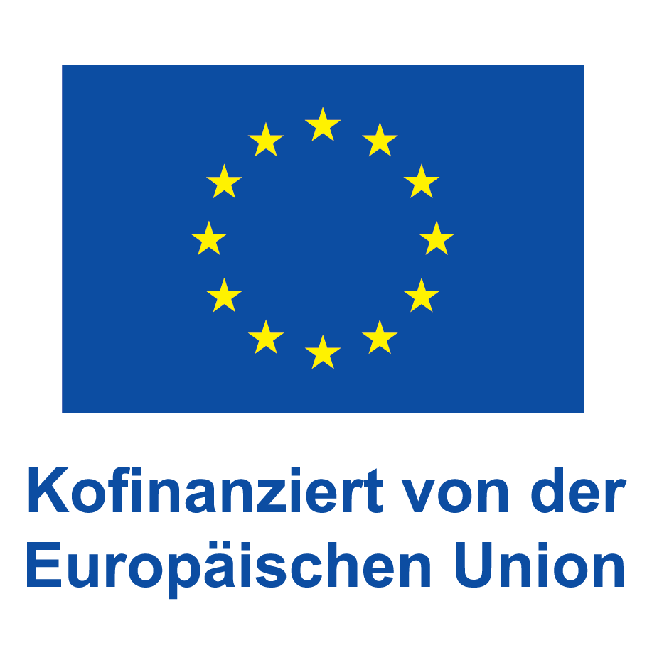 DE V Kofinanziert von der Europäischen Union_POS.png